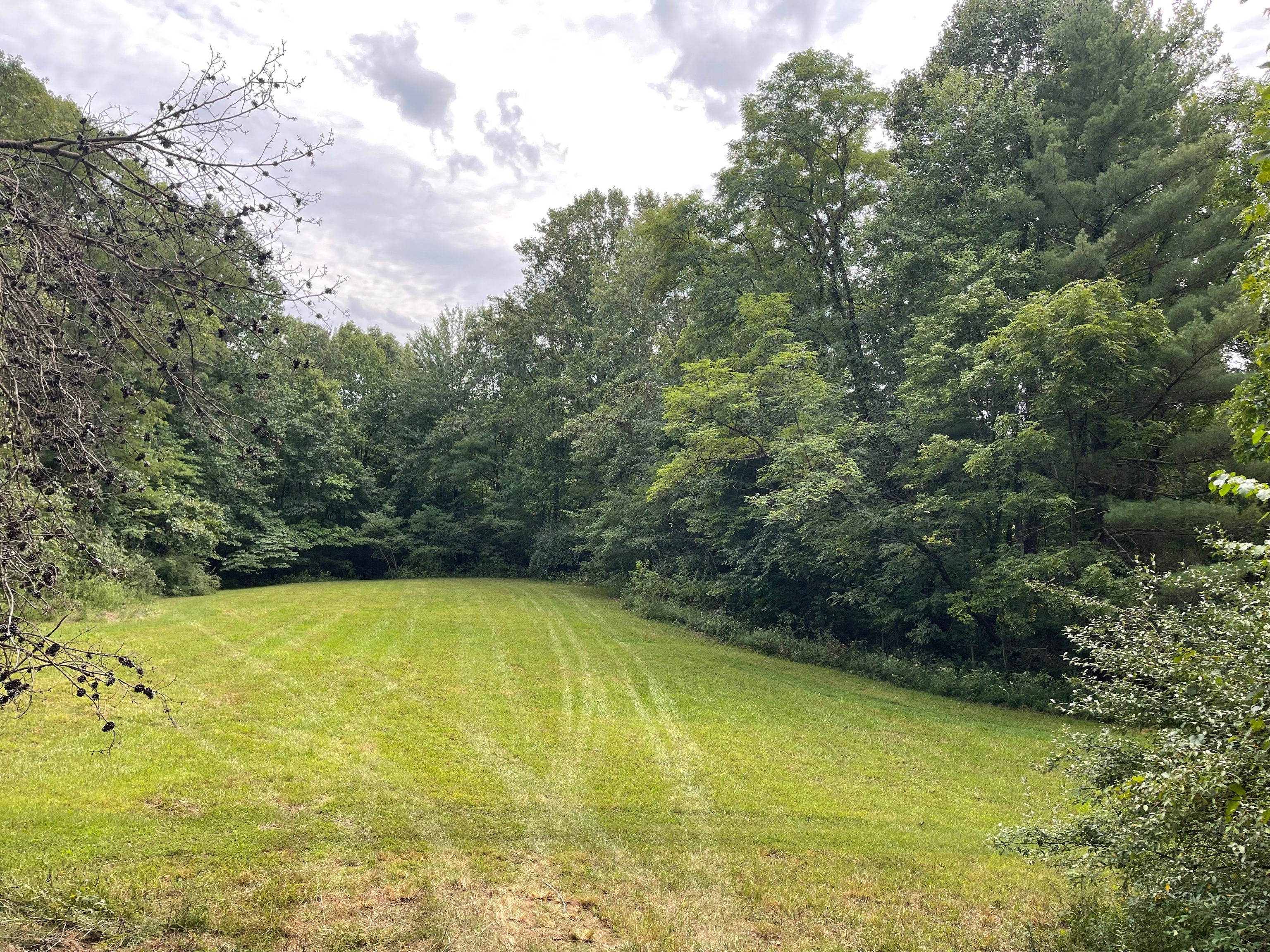 0 Jensen Road Martinsville, IN 46151 - Photo 12 of 36