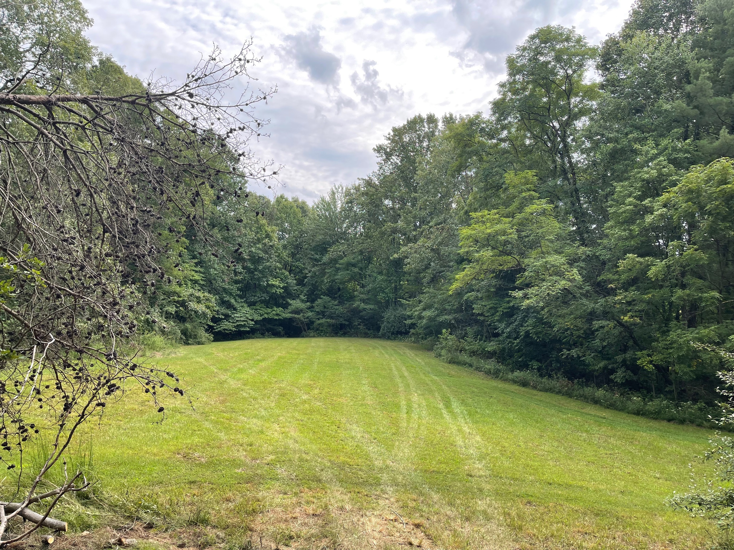 0 Jensen Road Martinsville, IN 46151 - Photo 13 of 36