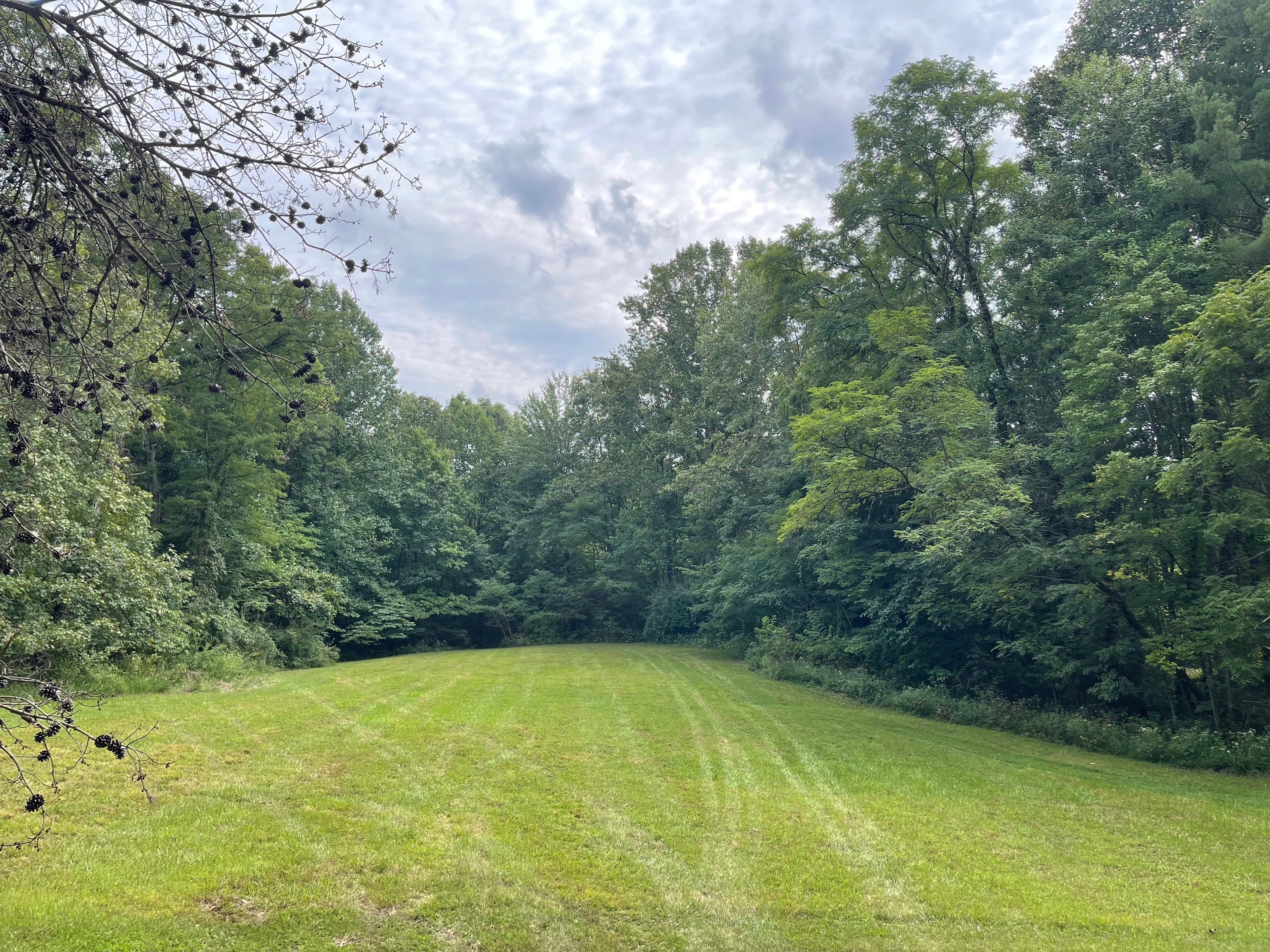 0 Jensen Road Martinsville, IN 46151 - Photo 14 of 36