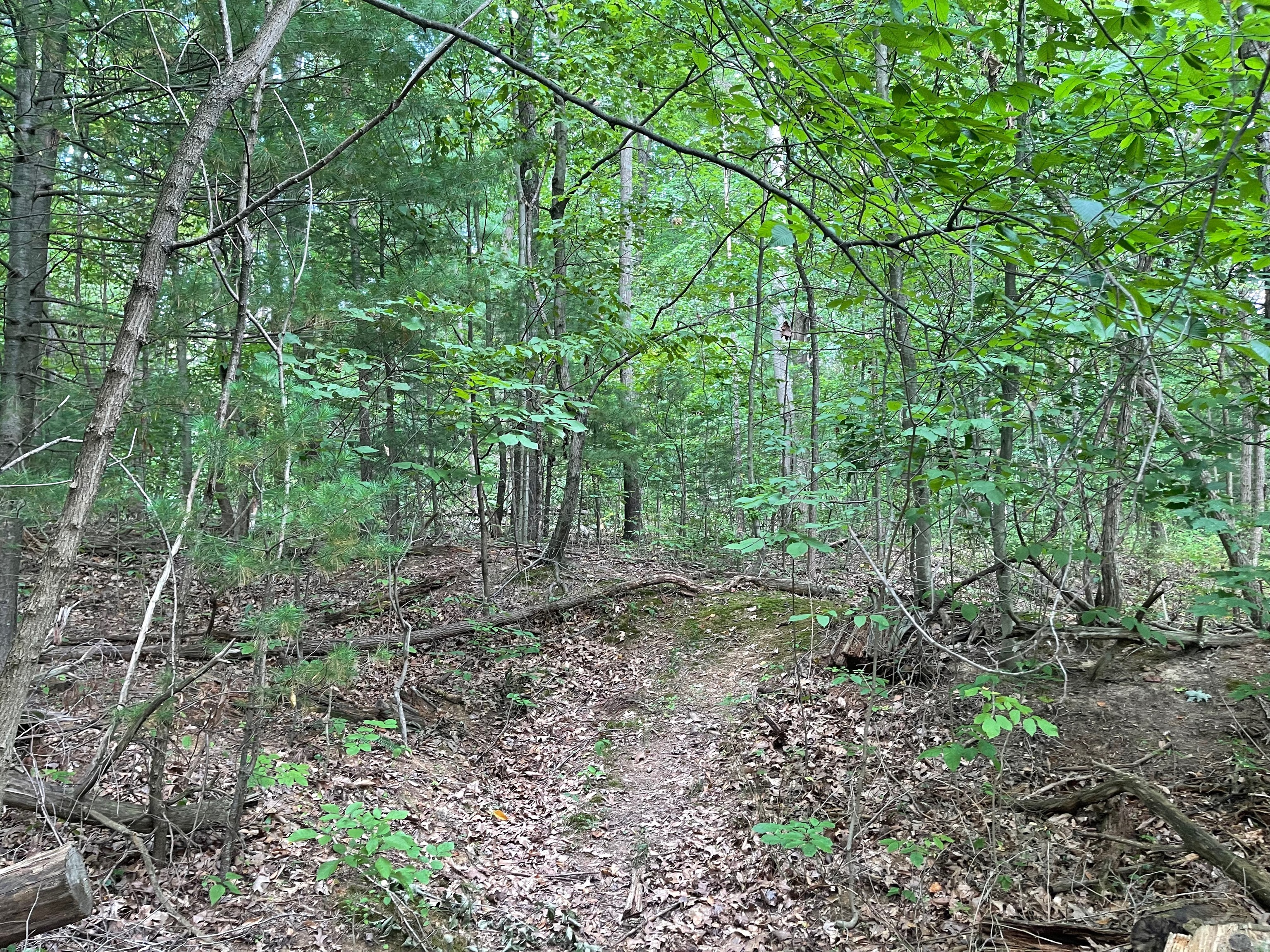 0 Jensen Road Martinsville, IN 46151 - Photo 15 of 36