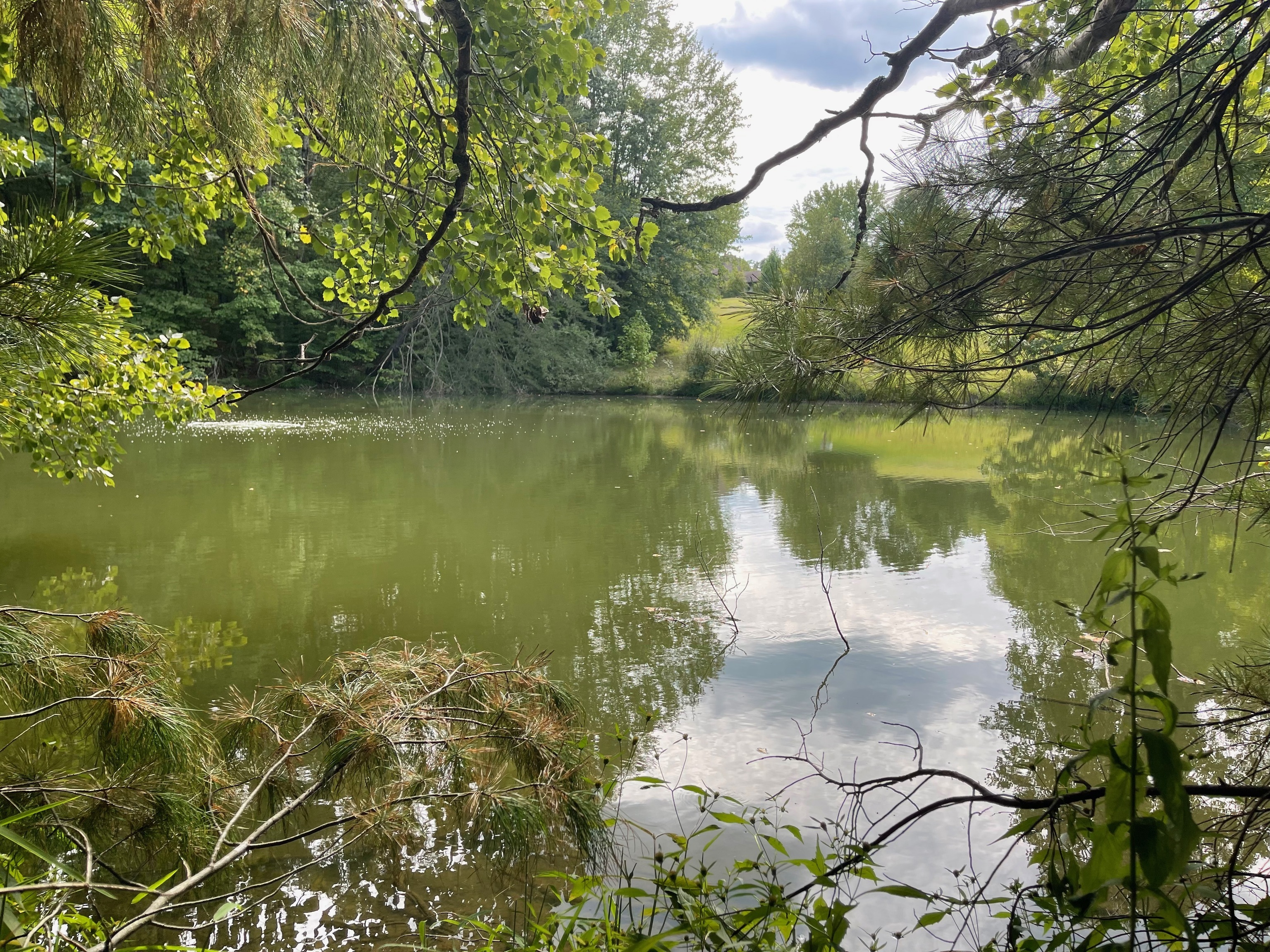 0 Jensen Road Martinsville, IN 46151 - Photo 16 of 36