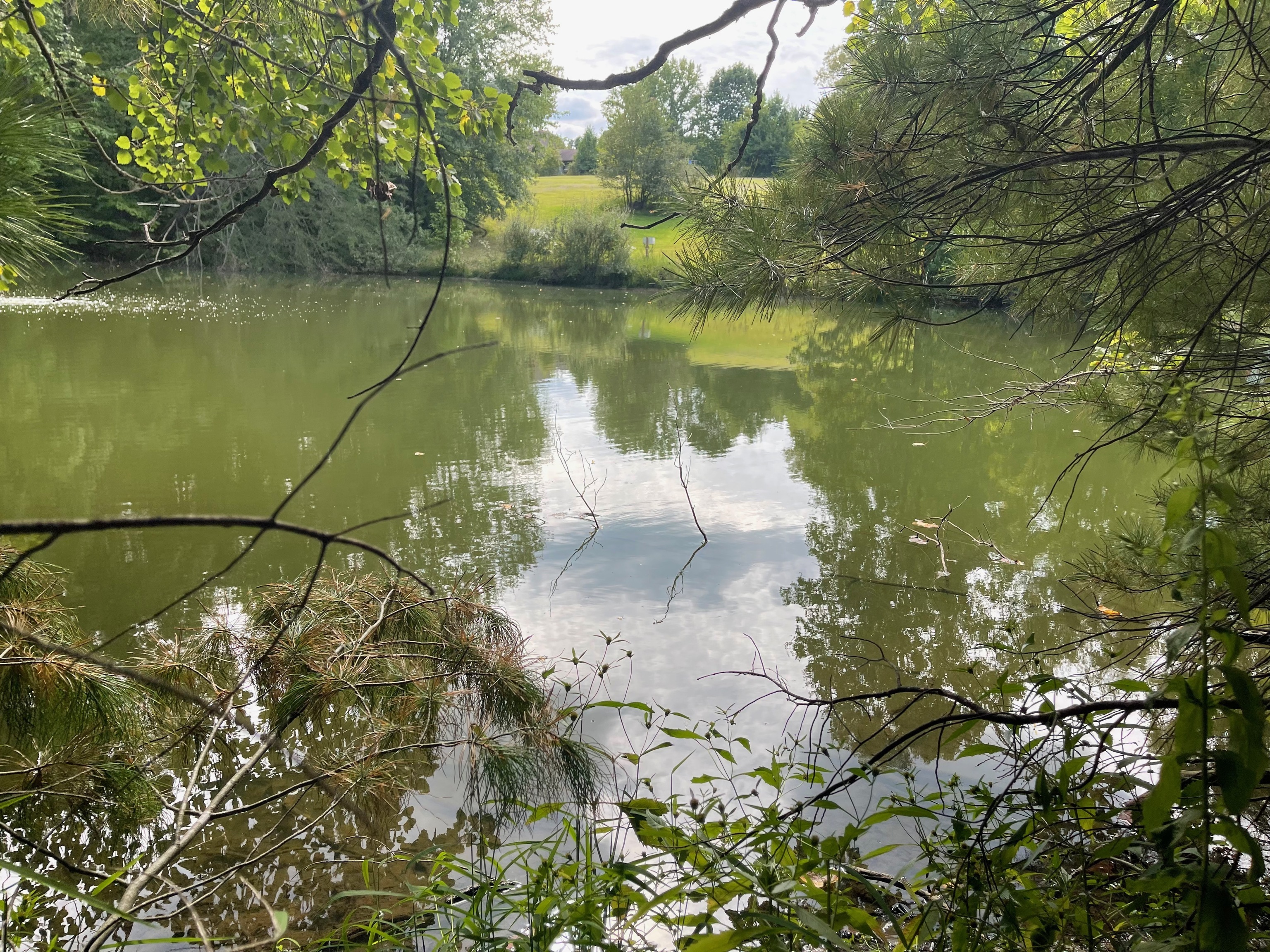 0 Jensen Road Martinsville, IN 46151 - Photo 17 of 36