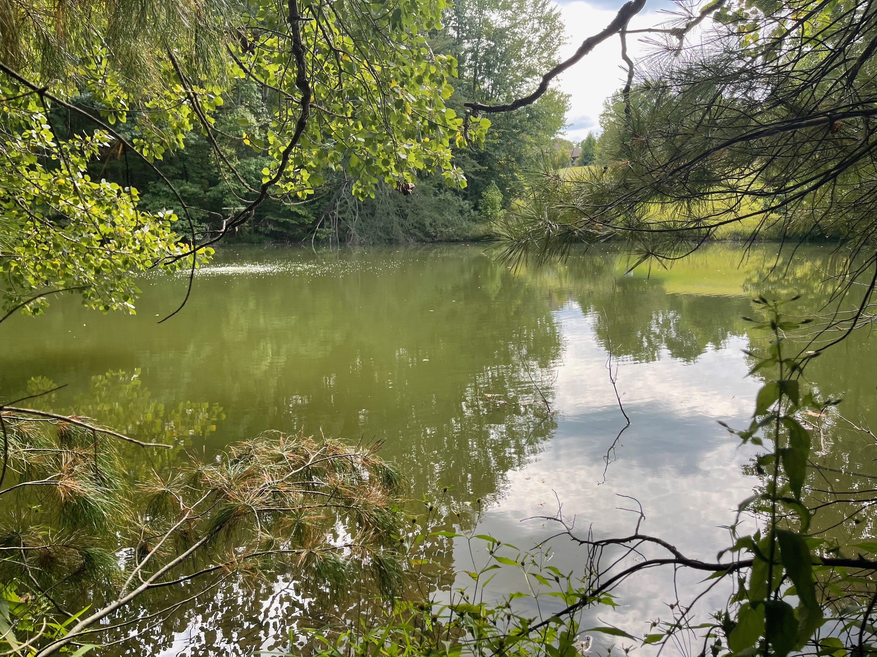 0 Jensen Road Martinsville, IN 46151 - Photo 18 of 36