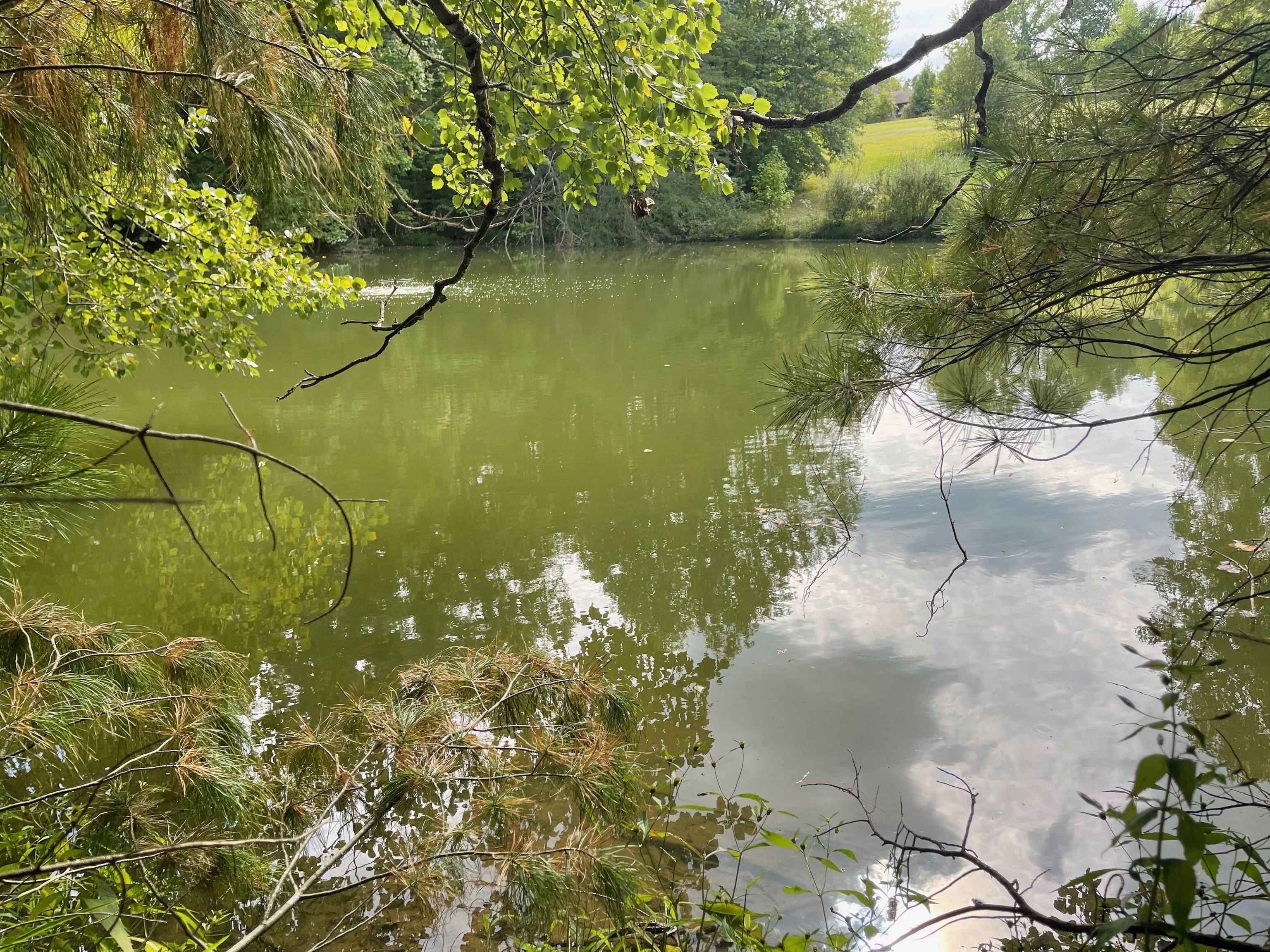 0 Jensen Road Martinsville, IN 46151 - Photo 19 of 36