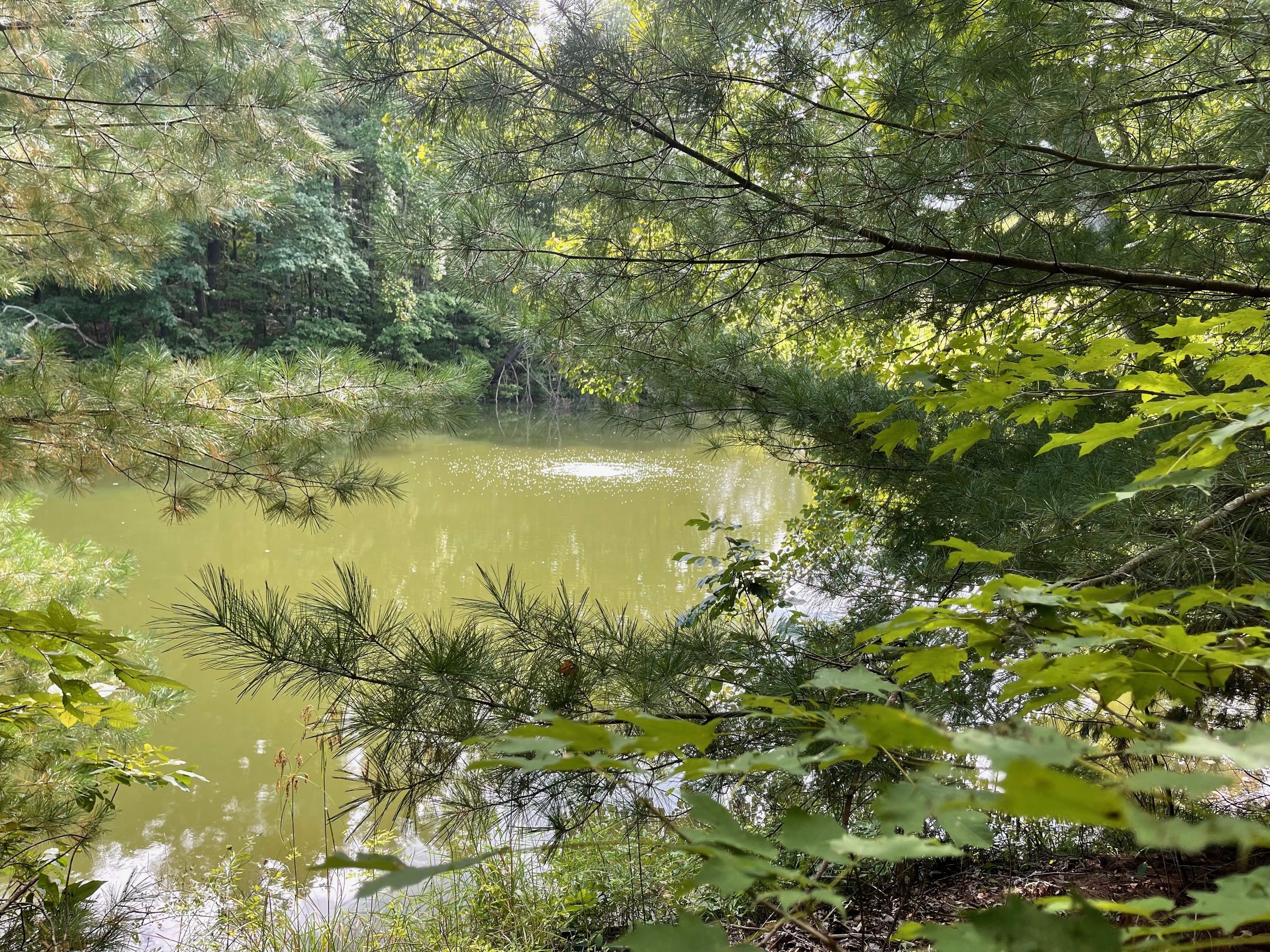 0 Jensen Road Martinsville, IN 46151 - Photo 20 of 36