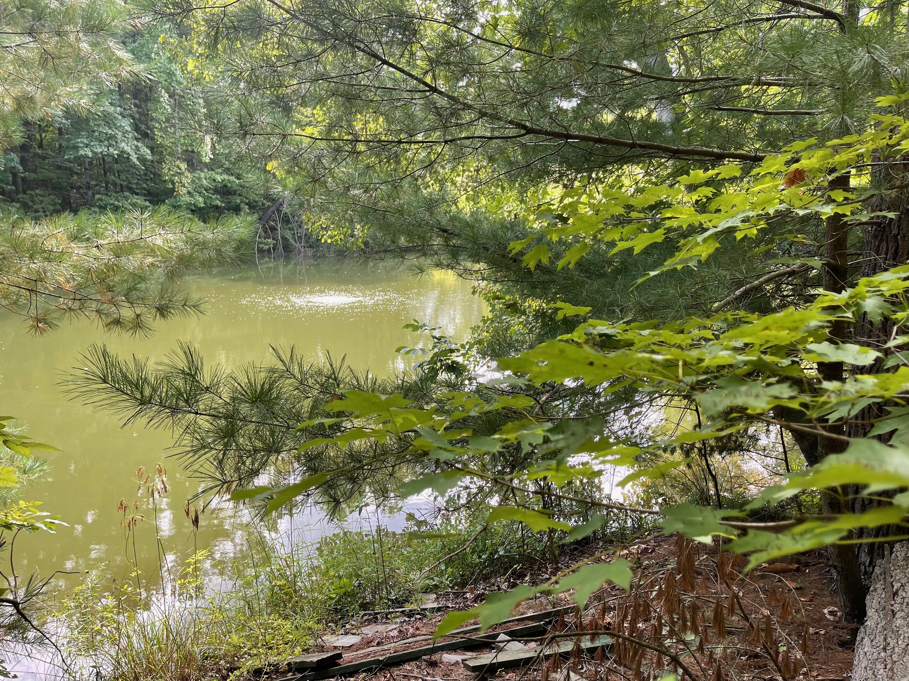 0 Jensen Road Martinsville, IN 46151 - Photo 21 of 36