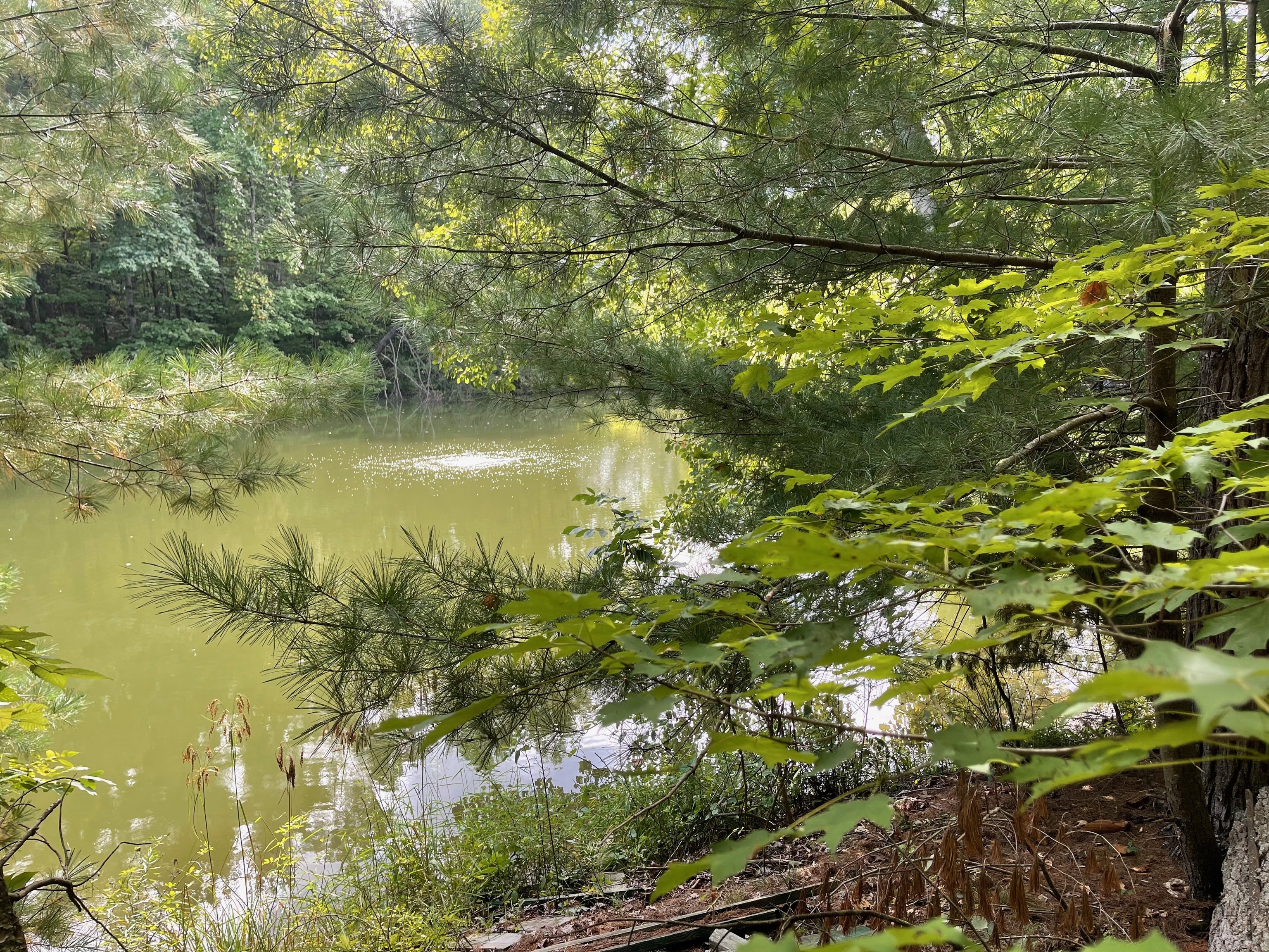 0 Jensen Road Martinsville, IN 46151 - Photo 22 of 36