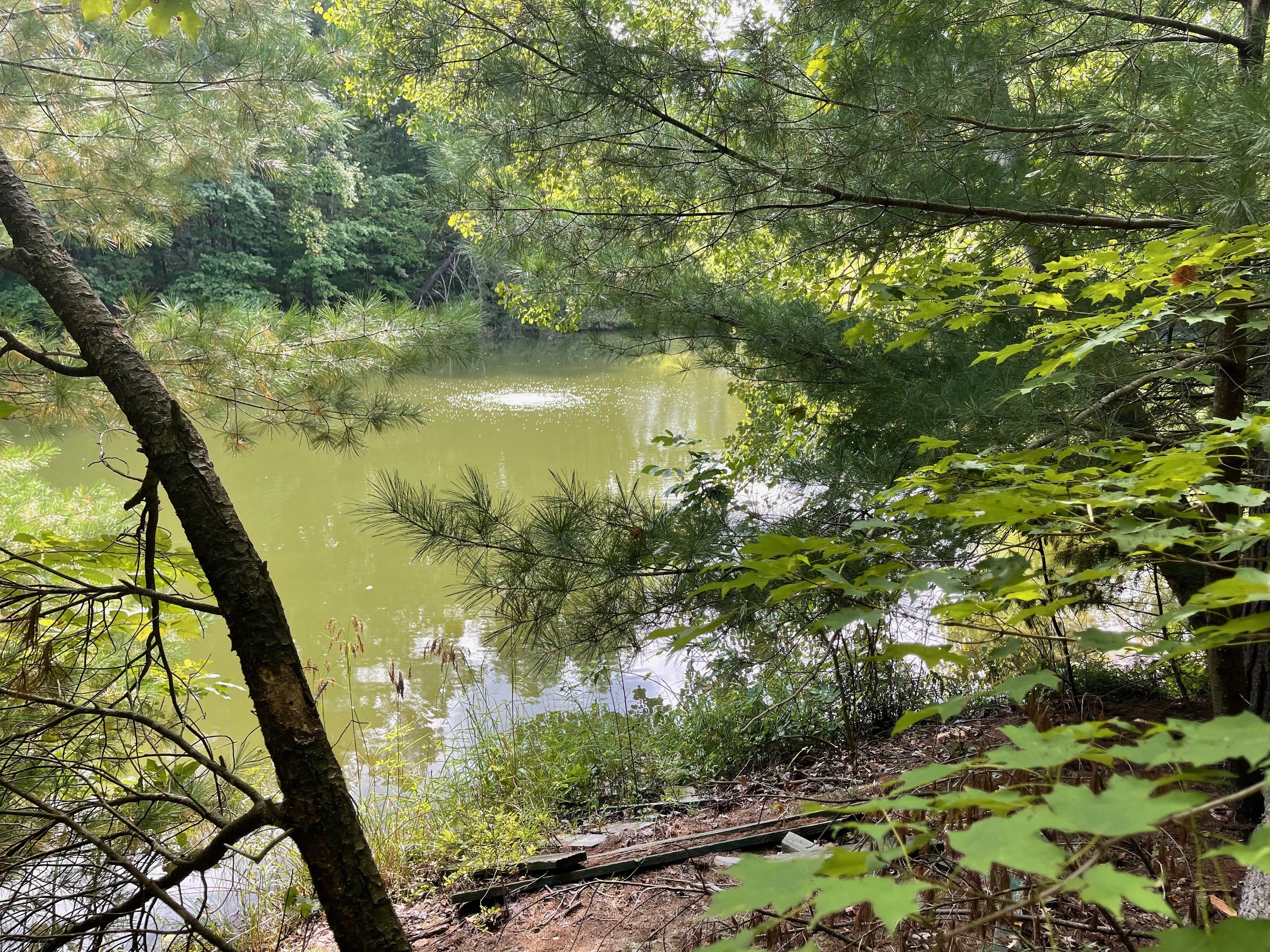 0 Jensen Road Martinsville, IN 46151 - Photo 23 of 36