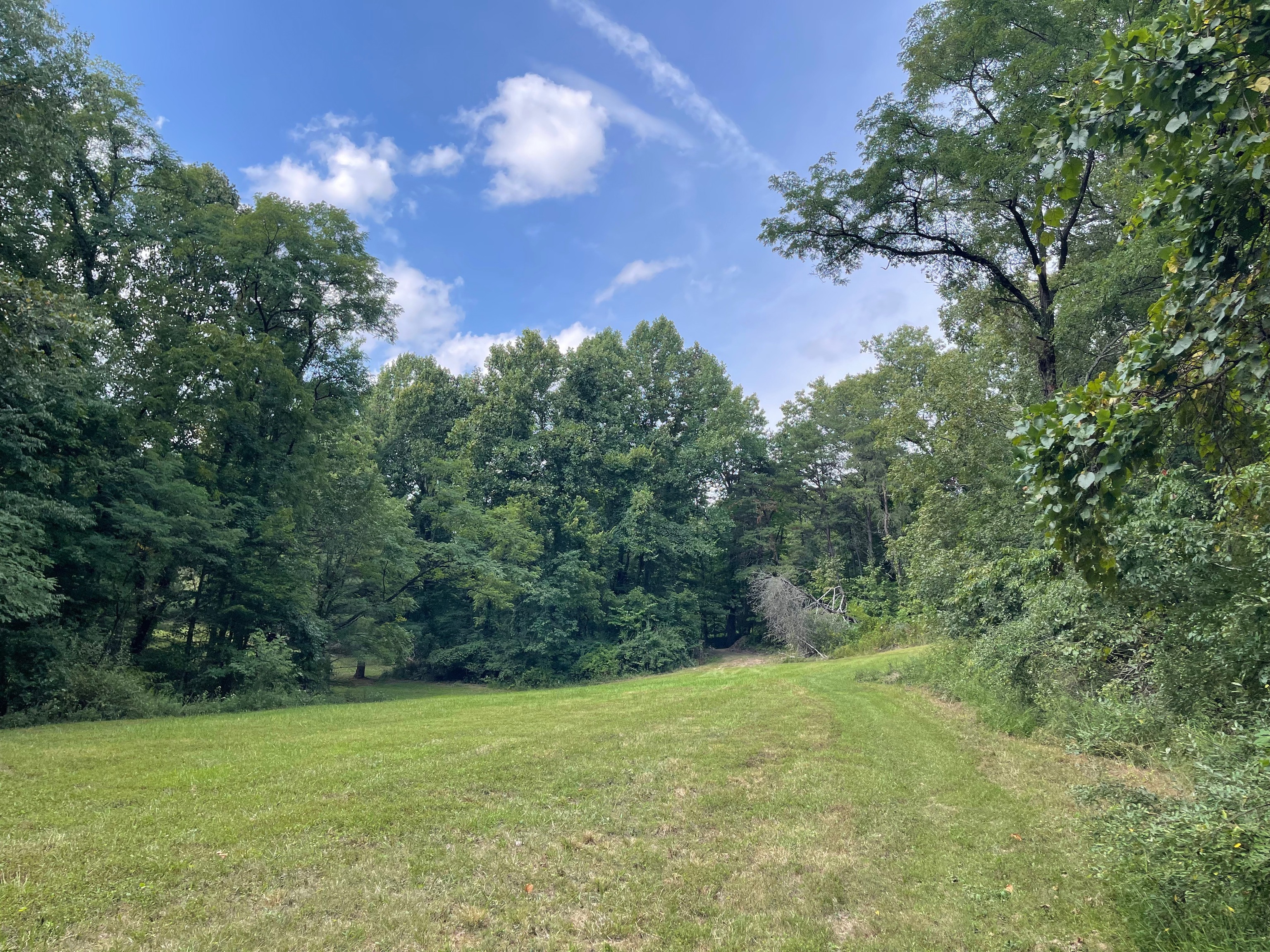 0 Jensen Road Martinsville, IN 46151 - Photo 28 of 36