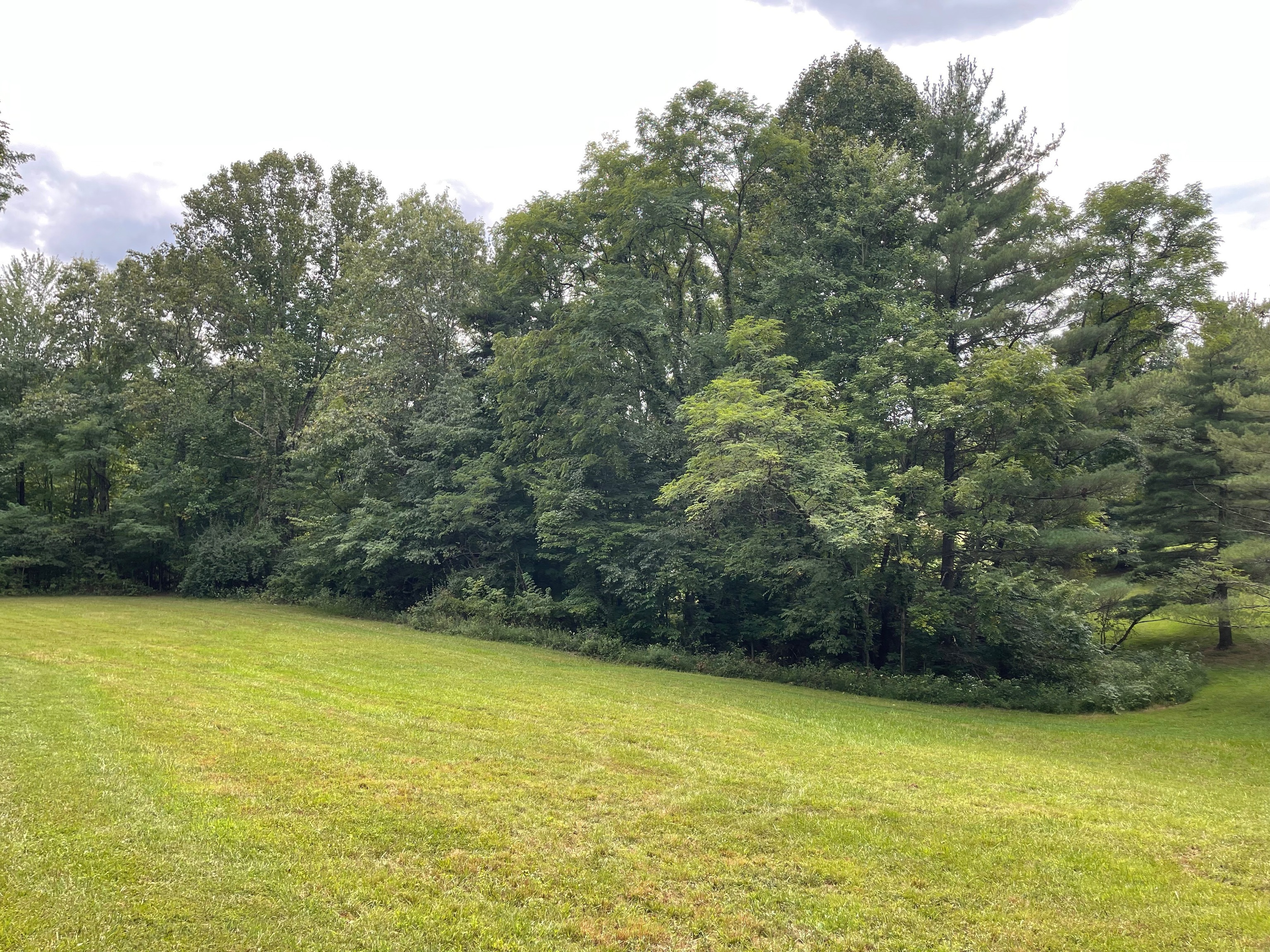 0 Jensen Road Martinsville, IN 46151 - Photo 3 of 36