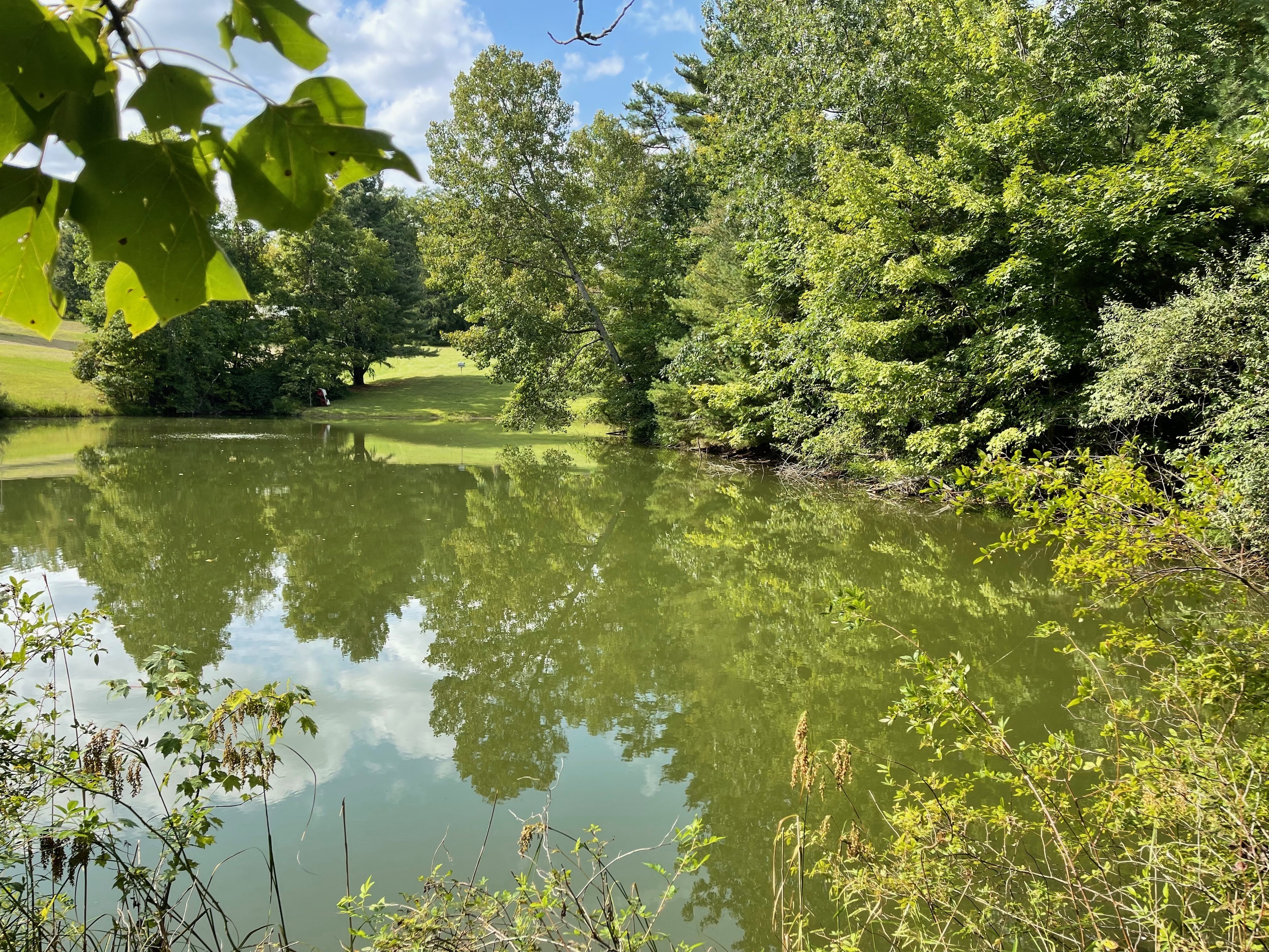 0 Jensen Road Martinsville, IN 46151 - Photo 35 of 36