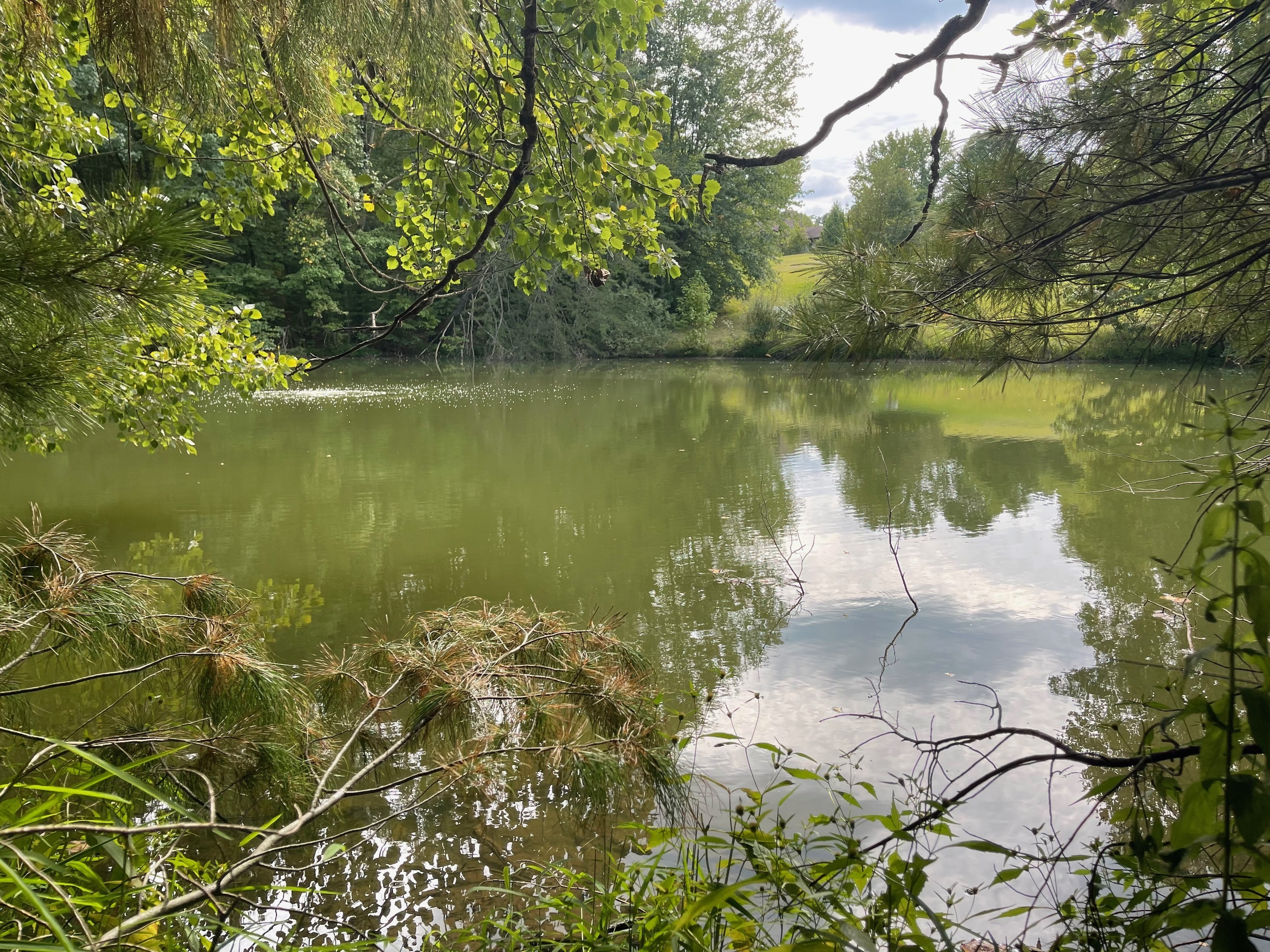 0 Jensen Road Martinsville, IN 46151 - Photo 4 of 36