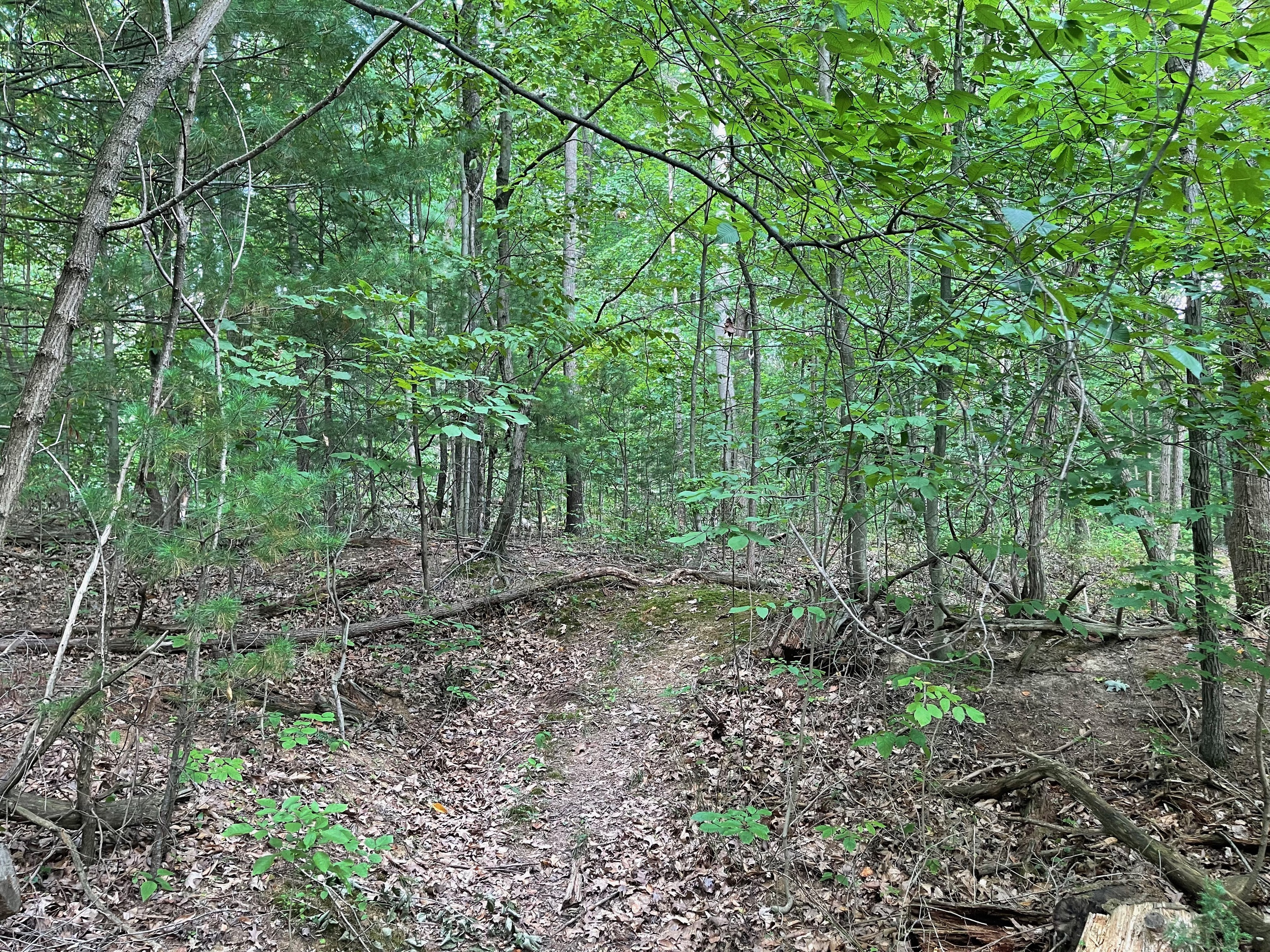 0 Jensen Road Martinsville, IN 46151 - Photo 5 of 36