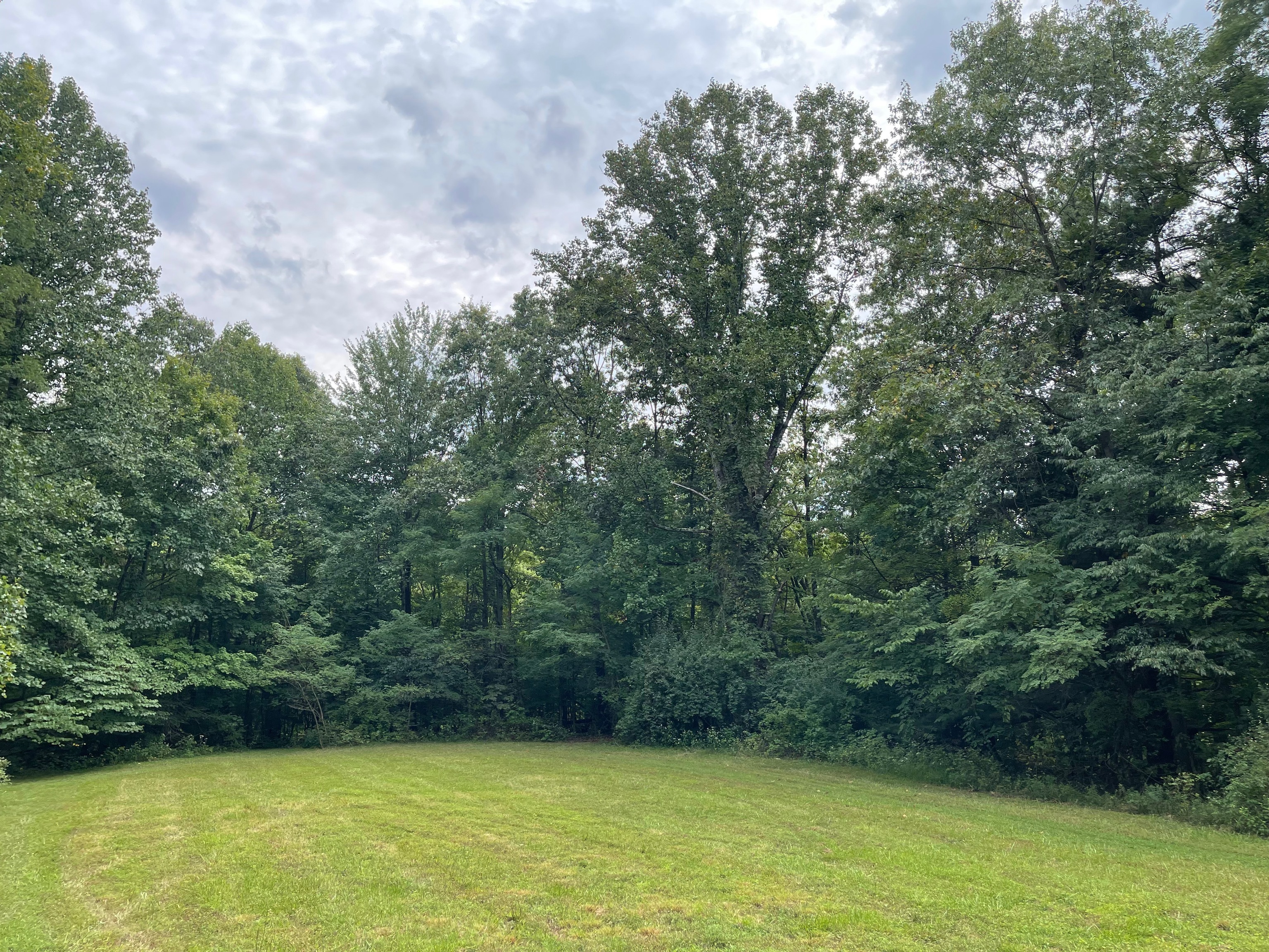 0 Jensen Road Martinsville, IN 46151 - Photo 8 of 36