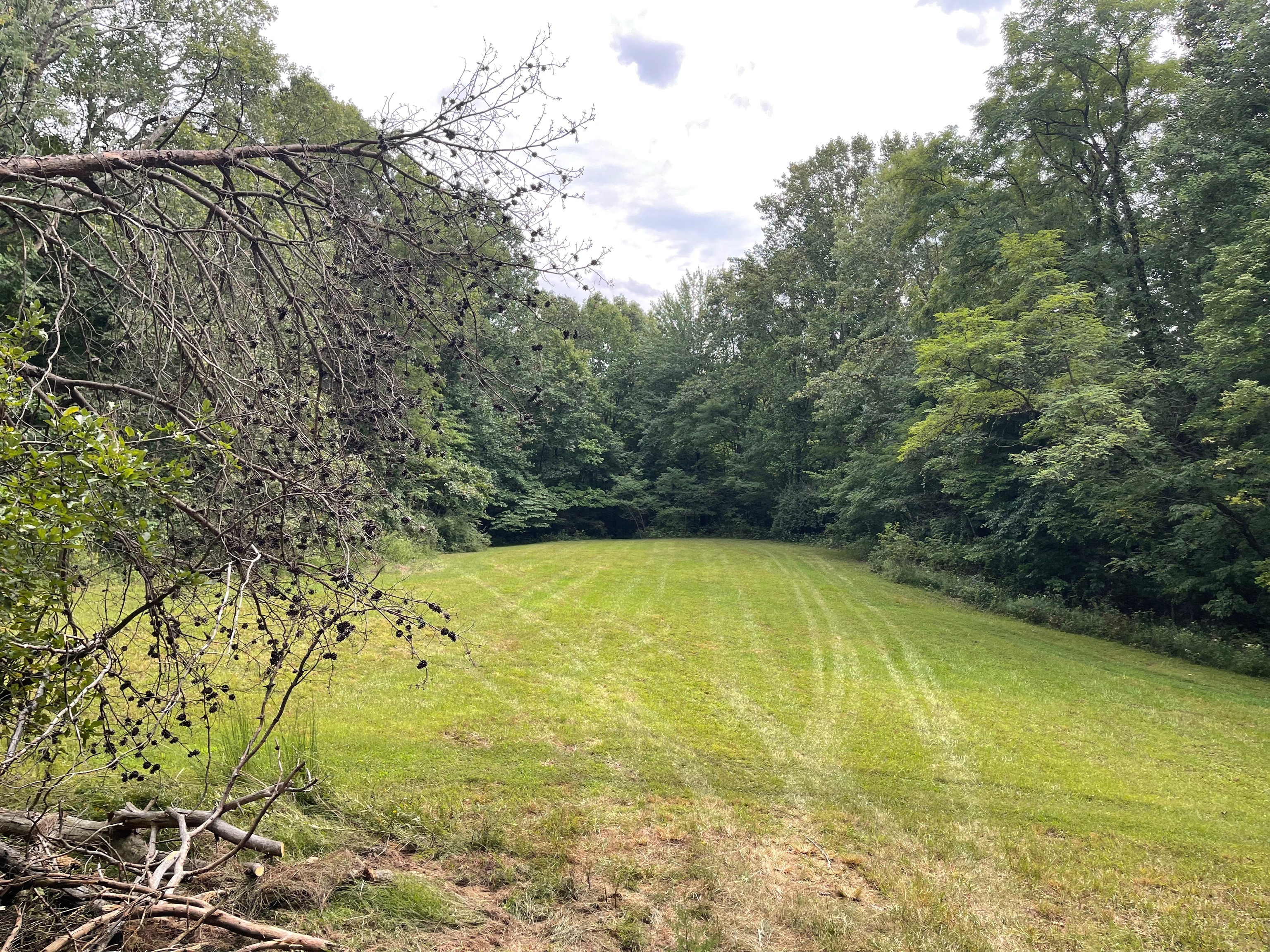 0 Jensen Road Martinsville, IN 46151 - Photo 9 of 36