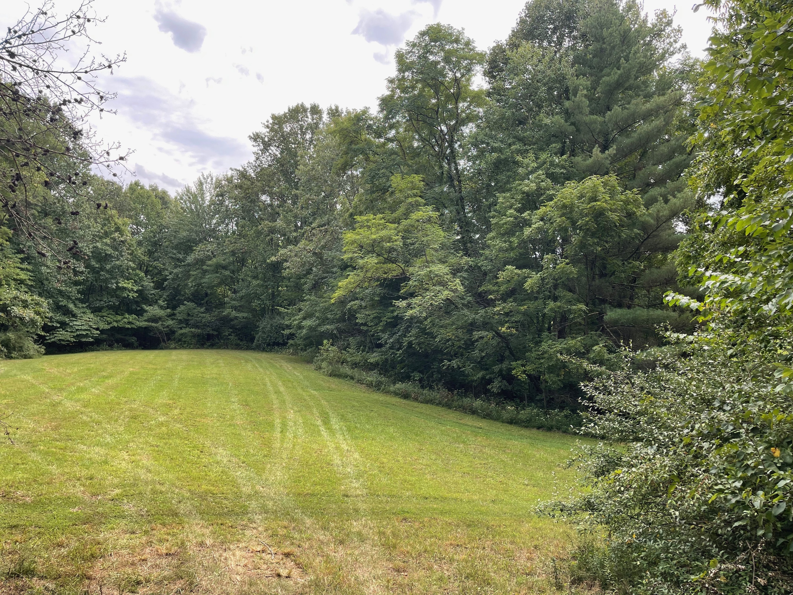 0 Jensen Road Martinsville, IN 46151 - Photo 10 of 36