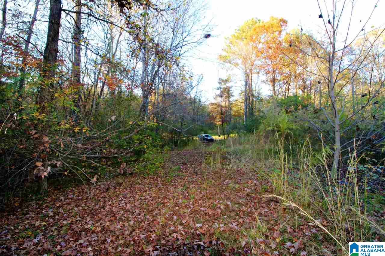 584 Greensport Road Ohatchee, AL 36271 - Photo 7 of 9