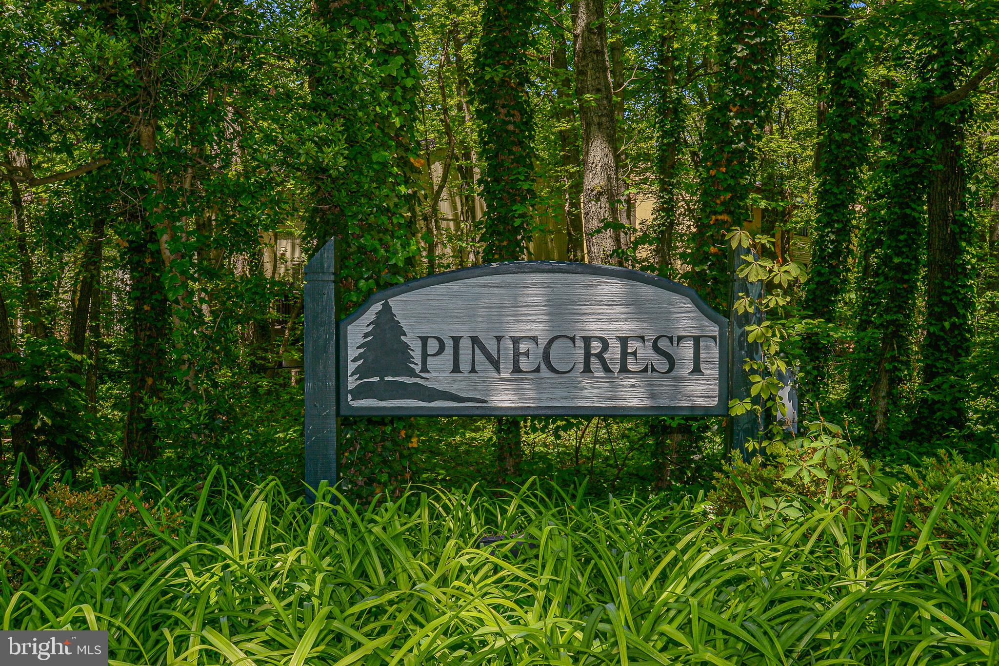 2410 Cloudcroft Square Reston, VA 20191 - Photo 26 of 26 Reston's Pinecrest Community