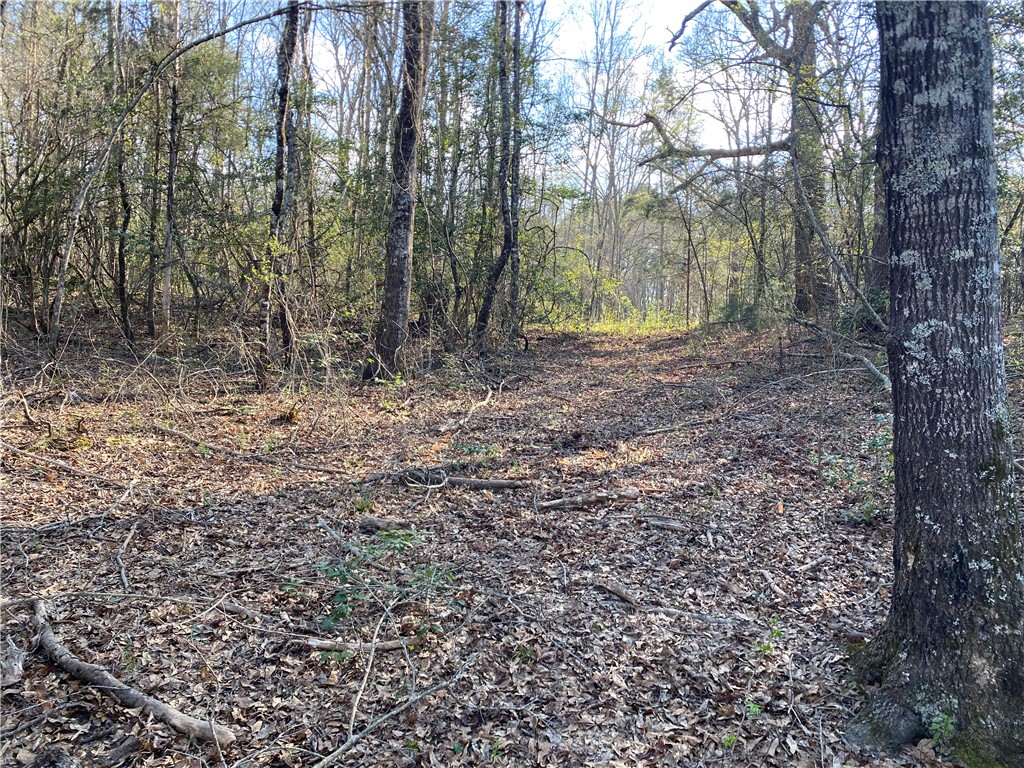 0 Abercrombie Road Honea Path, SC 29654 - Photo 11 of 18 This expansive wooded lot offers a tranquil setting for your future home.