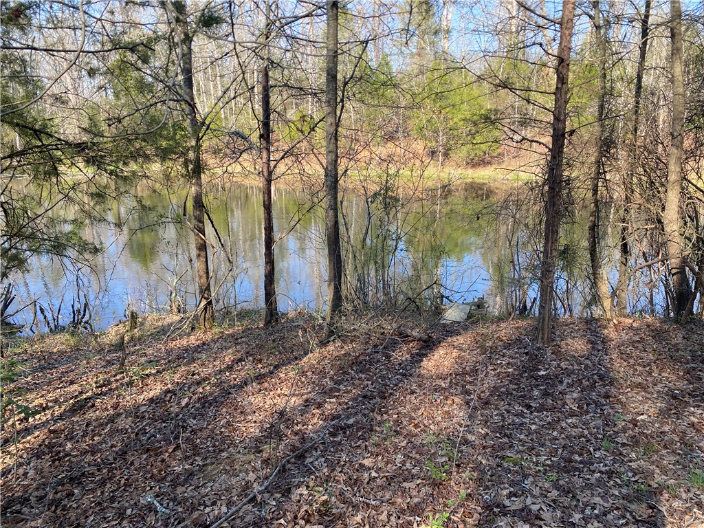 0 Abercrombie Road Honea Path, SC 29654 - Photo 12 of 18 This tranquil waterfront setting offers a serene escape amidst nature's embrace.