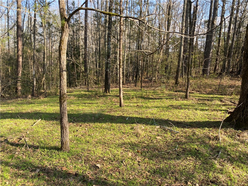 0 Abercrombie Road Honea Path, SC 29654 - Photo 15 of 18 Expansive, verdant grounds invite tranquil forest living, offering a serene natural escape.