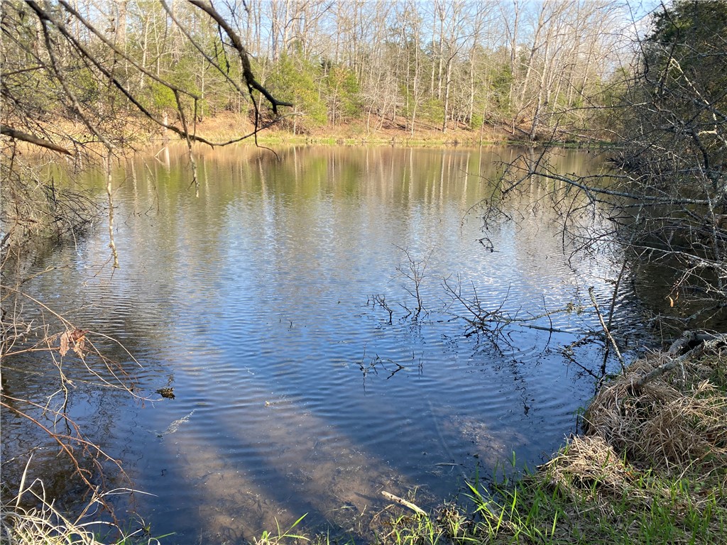 0 Abercrombie Road Honea Path, SC 29654 - Photo 2 of 18 This serene pond offers peaceful reflections of the surrounding natural landscape, ideal for quiet enjoyment.