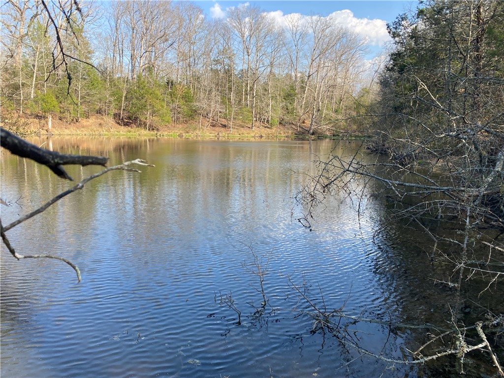 0 Abercrombie Road Honea Path, SC 29654 - Photo 3 of 18 A tranquil pond reflecting the surrounding trees offers serene water views.