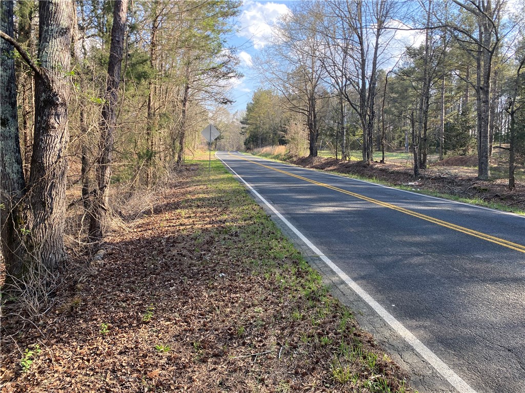 0 Abercrombie Road Honea Path, SC 29654 - Photo 4 of 18 A tranquil roadway meanders through a wooded landscape, offering serene natural beauty.