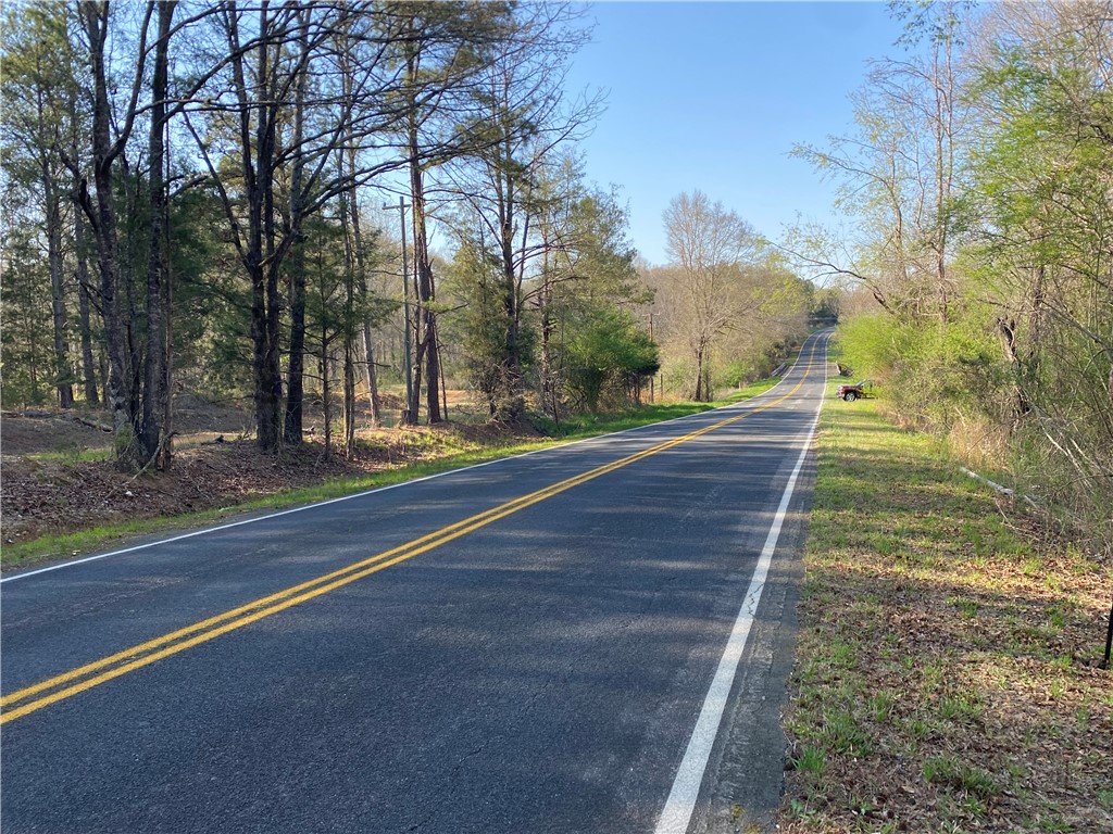 0 Abercrombie Road Honea Path, SC 29654 - Photo 5 of 18 This scenic road winds through lush greenery, offering tranquil rural living.