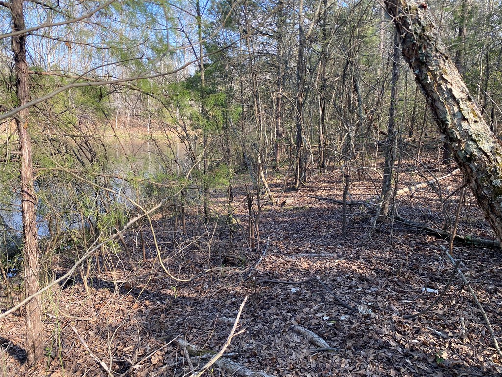 0 Abercrombie Road Honea Path, SC 29654 - Photo 7 of 18 This tranquil wooded lot offers a serene retreat with natural beauty and water views.
