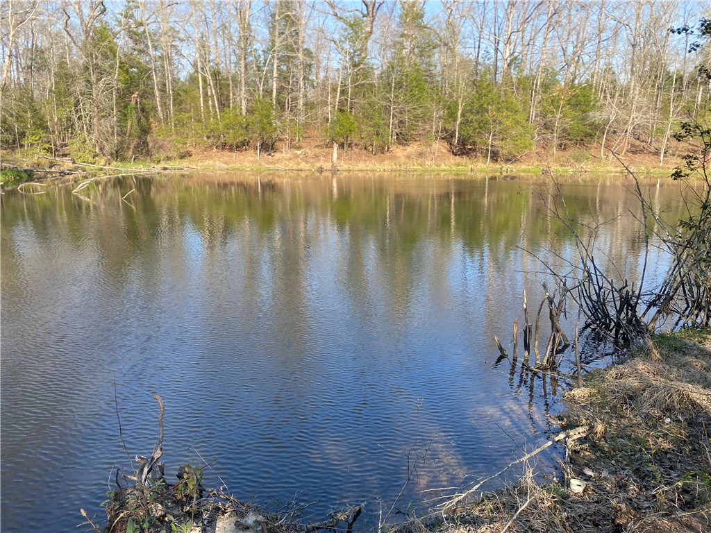0 Abercrombie Road Honea Path, SC 29654 - Photo 8 of 18 This tranquil waterfront scene offers a peaceful retreat with natural surroundings and reflective waters.