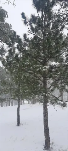 a plant that is sitting in a garden