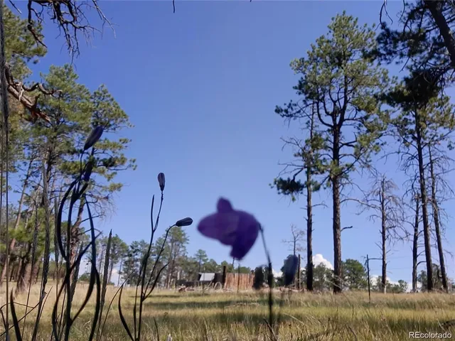 $429,999 | 13395 Frank Road, Colorado Springs, CO 80908