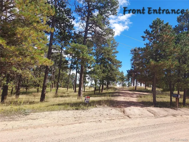 a view of road with trees