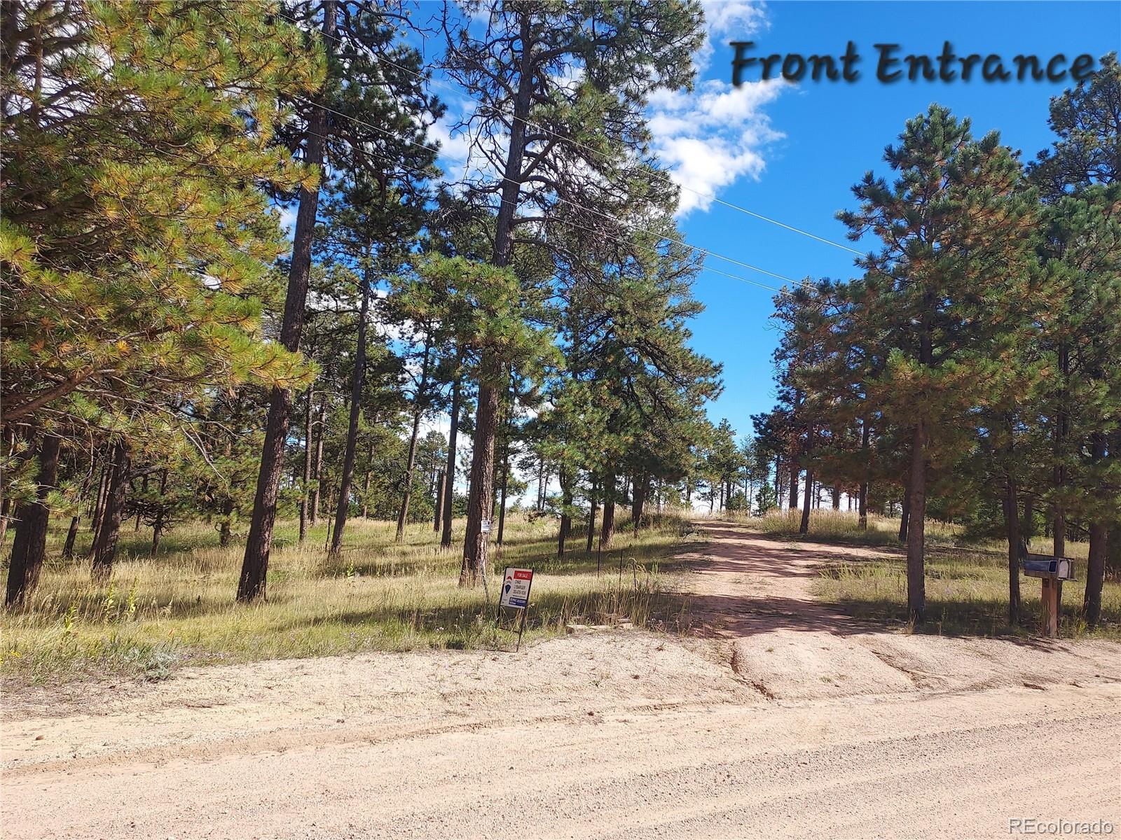 13395 Frank Road Colorado Springs, CO 80908 - Photo 4 of 15 a view of road with trees