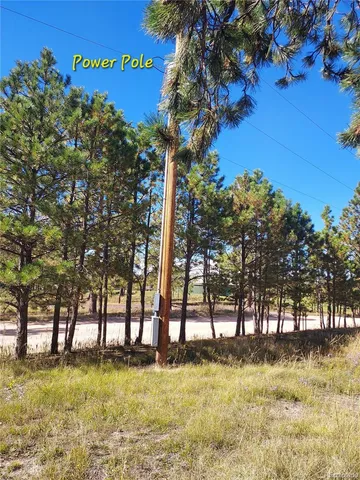 a swimming pool with trees in the background