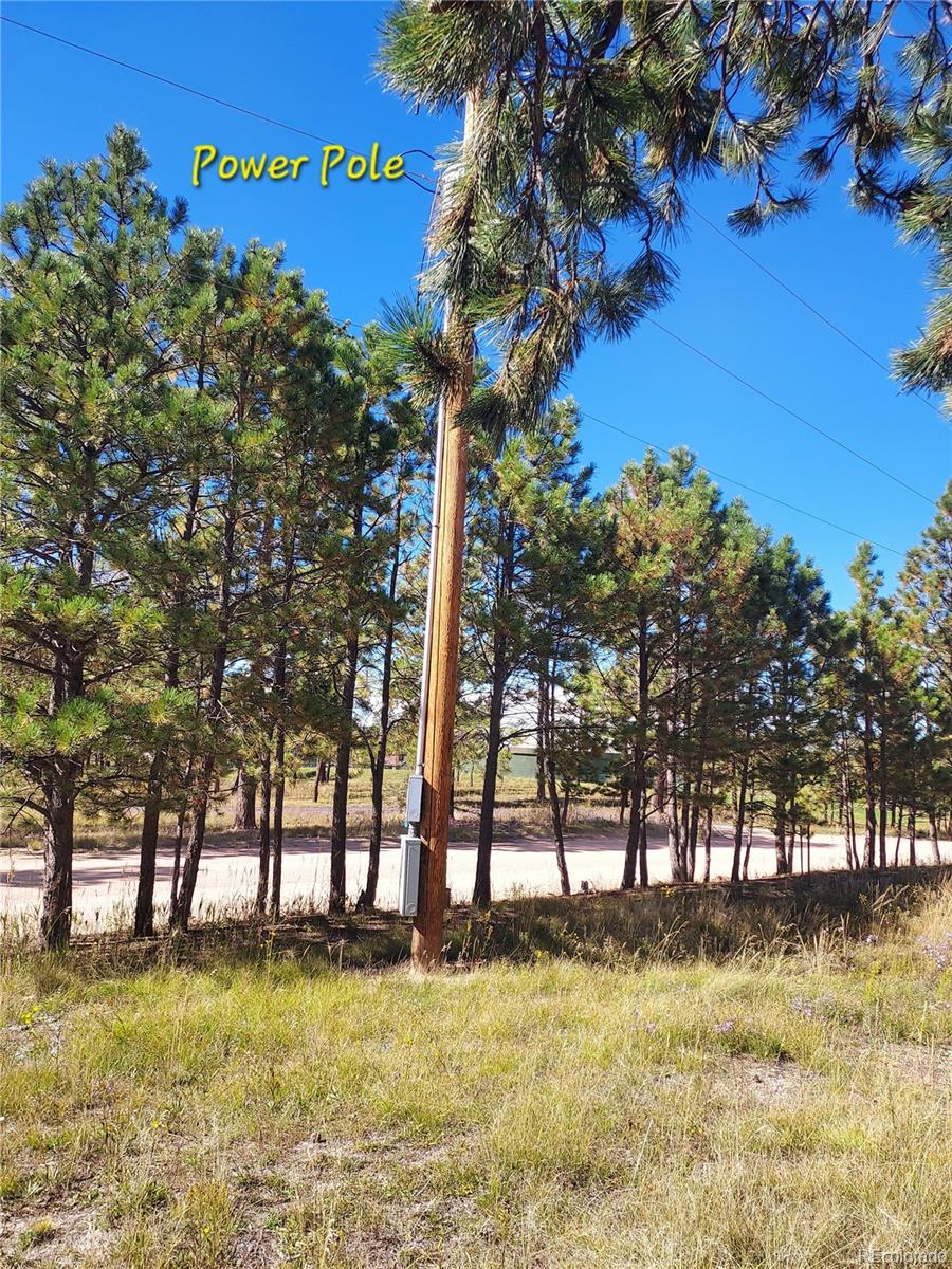 13395 Frank Road Colorado Springs, CO 80908 - Photo 6 of 15 a swimming pool with trees in the background