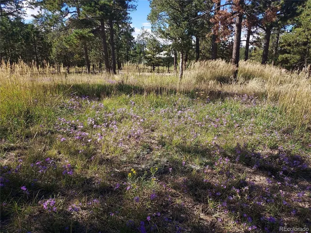 a view of a lake covered with fog