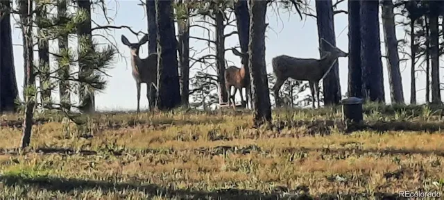 a view of a interior in the house