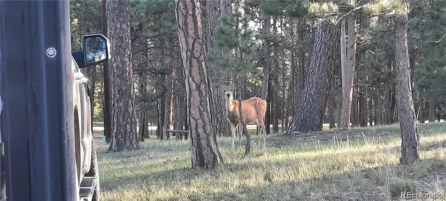 a backyard of a house