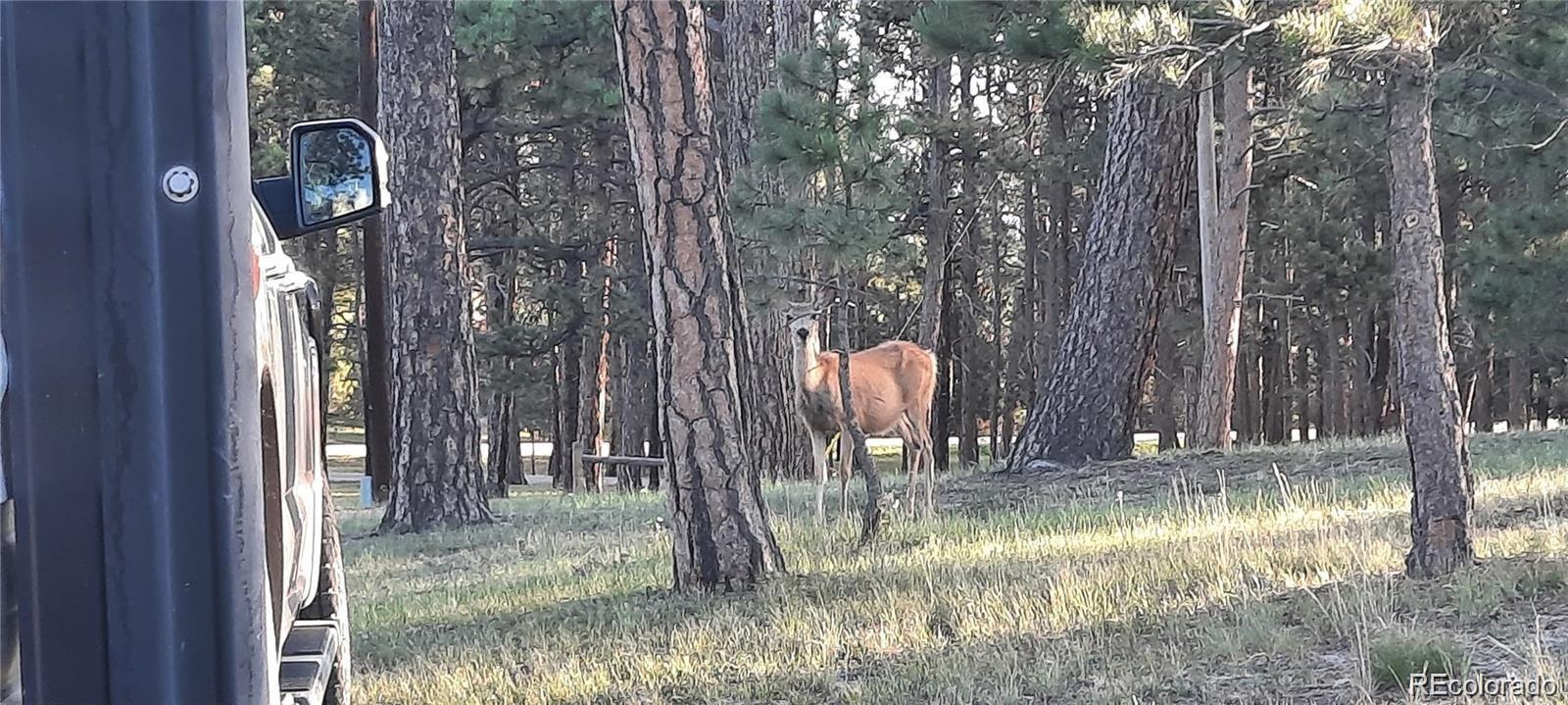 13395 Frank Road Colorado Springs, CO 80908 - Photo 10 of 15 a view of a interior in the house