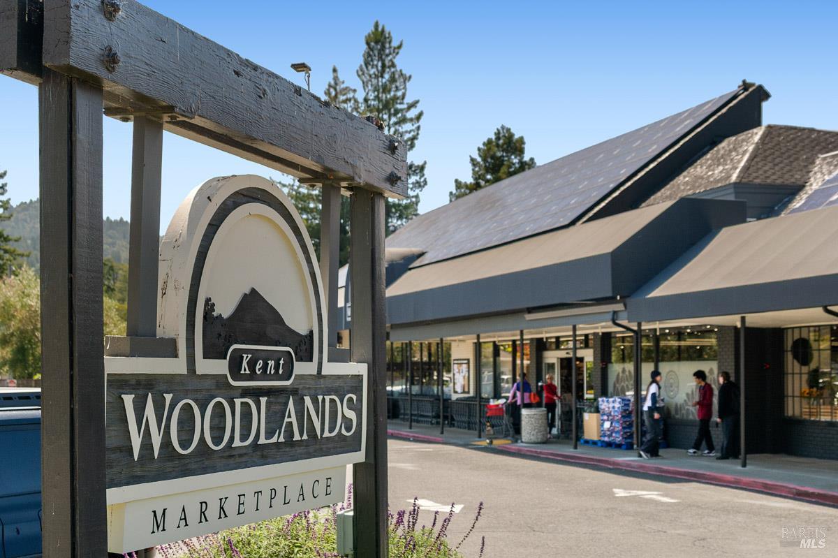 403 Woodland Road Kentfield, CA 94904 - Photo 74 of 76