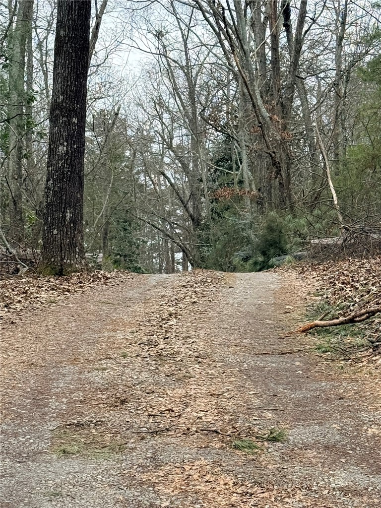 Tbd - Lot A Tbd - Lane Seneca, SC 29678 - Photo 4 of 11