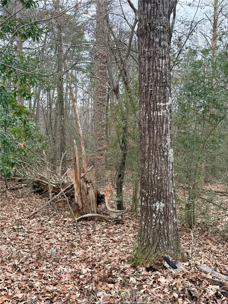 Tbd - Lot A Tbd - Lane Seneca, SC 29678 - Photo 7 of 11