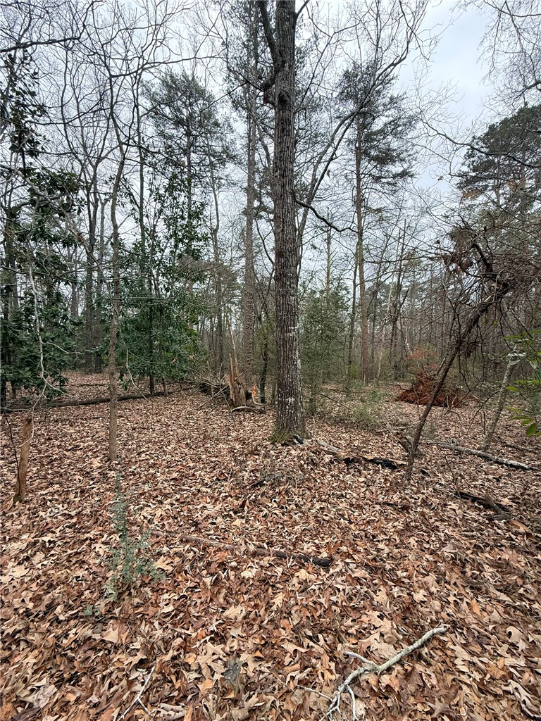 Tbd - Lot A Tbd - Lane Seneca, SC 29678 - Photo 8 of 11