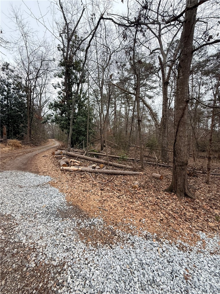 Tbd - Lot A Tbd - Lane Seneca, SC 29678 - Photo 10 of 11