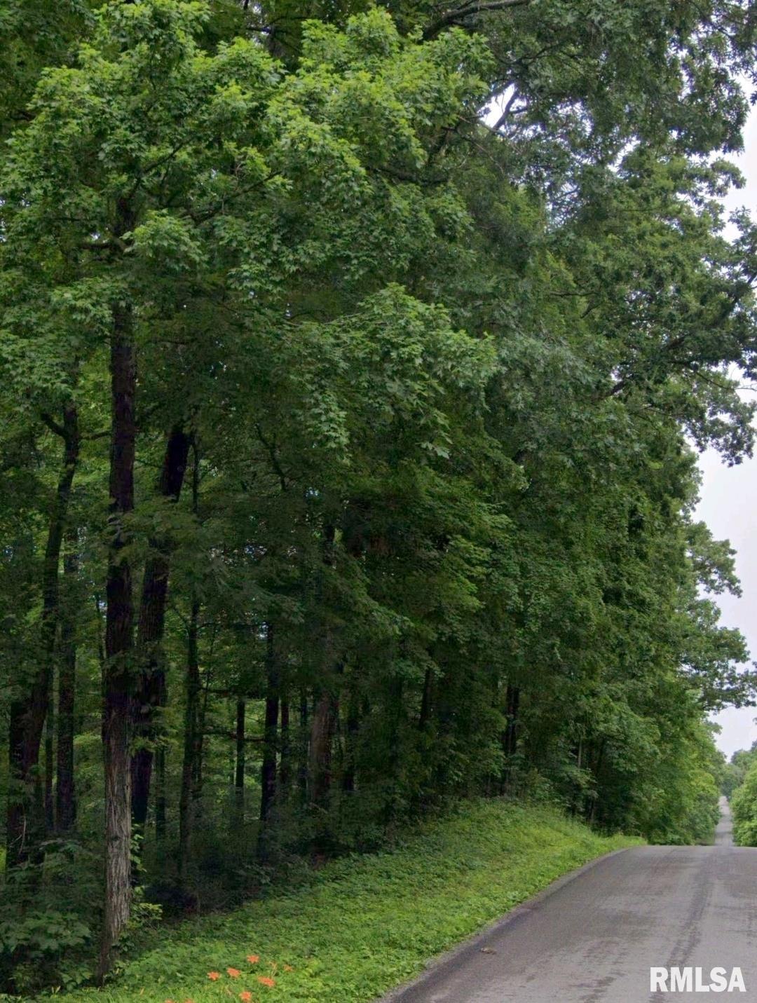 0 Parrish Ridge Lane Marion, IL 62959 - Photo 1 of 3