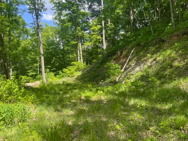$69,000 | 0 Birch Hollow Road, Unit LOT 12, Stanton, KY 40380
