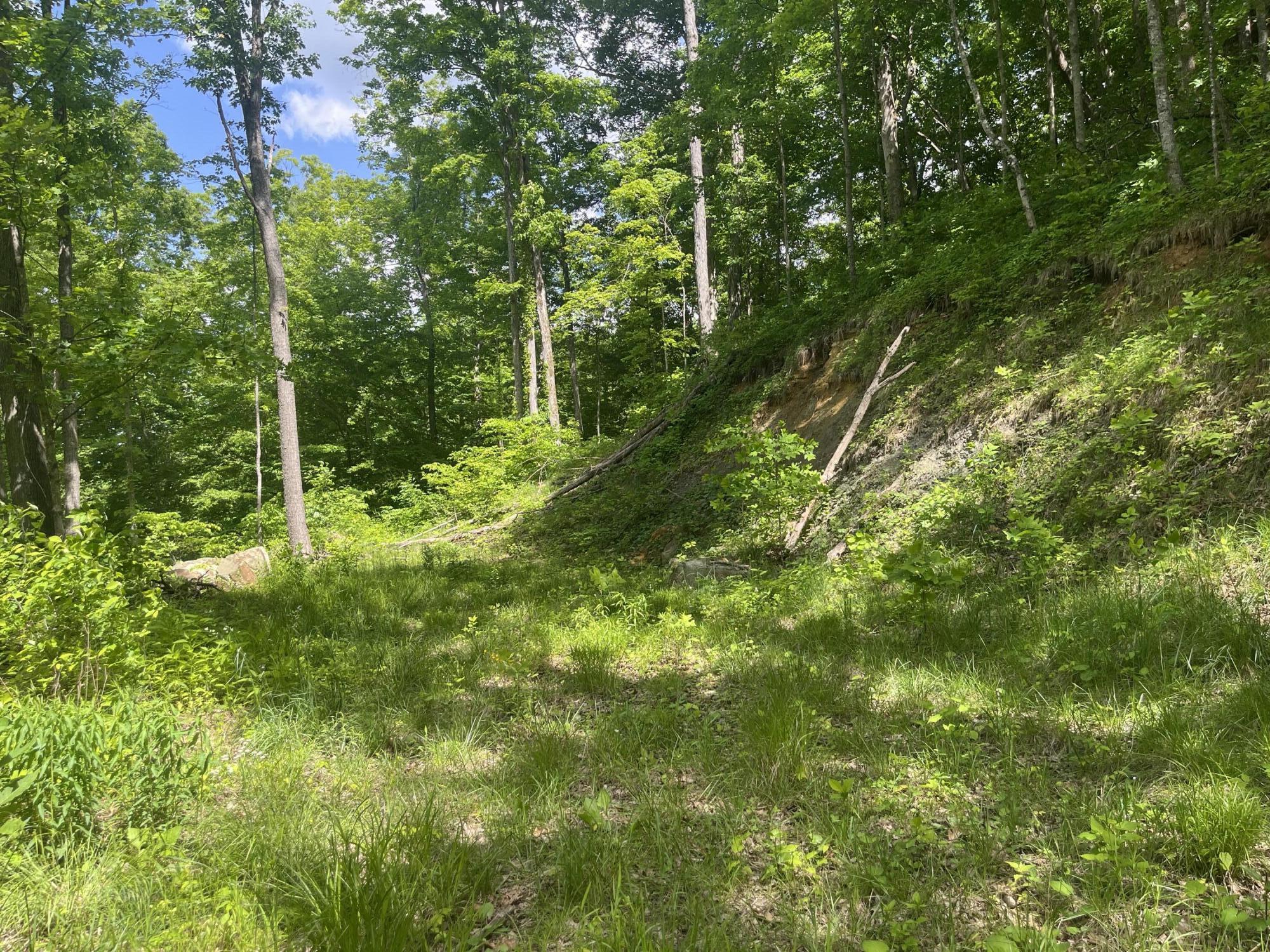 0 Birch Hollow Road, Unit LOT 12 Stanton, KY 40380 - Photo 1 of 8