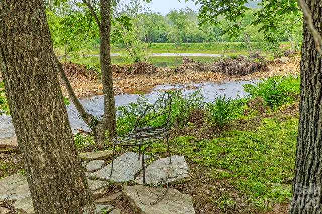 a view of a yard with plants and trees